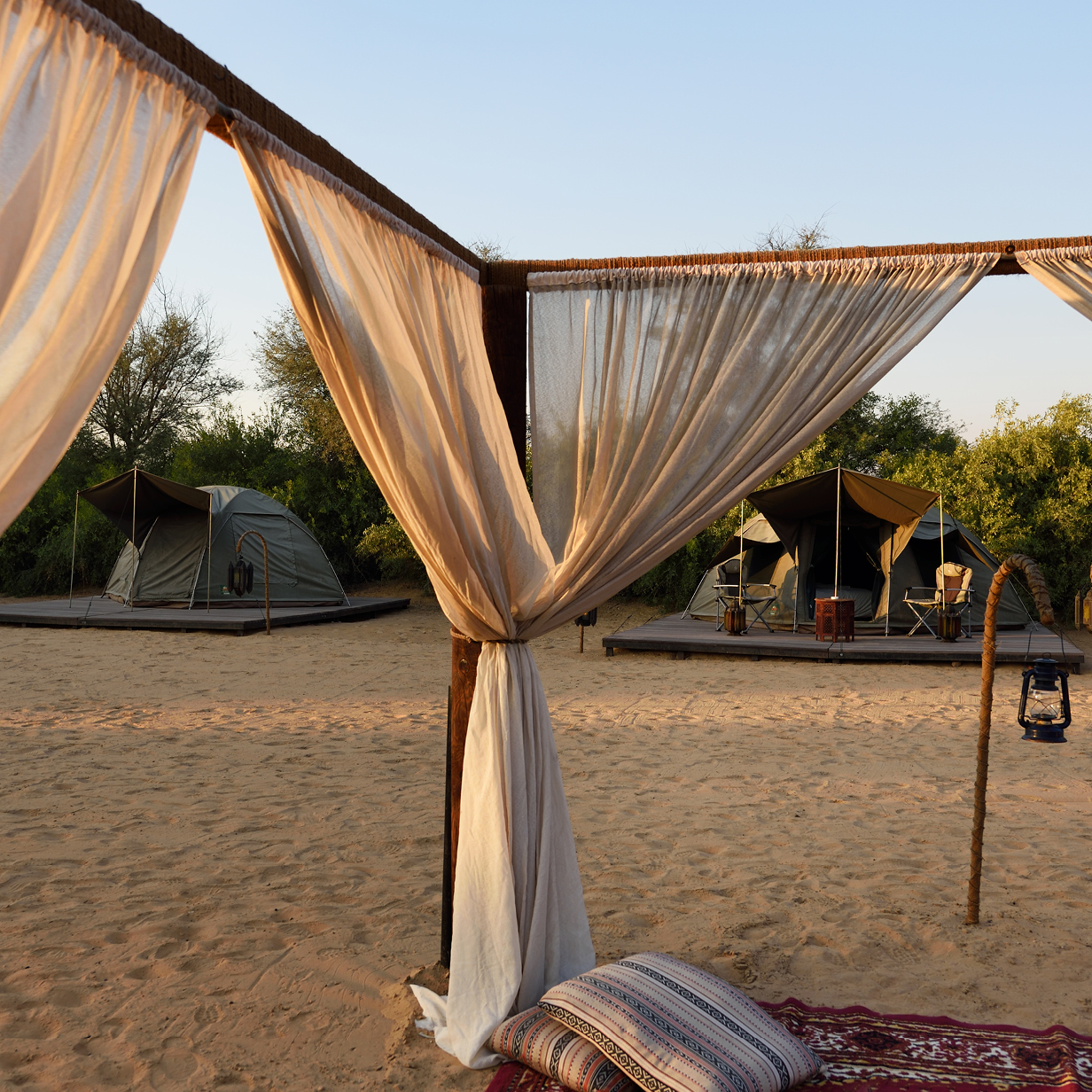 Luxury Overnight Desert Camping, , large